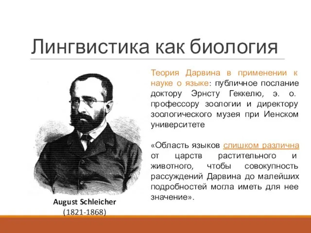 Лингвистика как биология August Schleicher (1821-1868) Теория Дарвина в применении