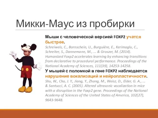 Микки-Маус из пробирки Мыши с человеческой версией FOXP2 учатся быстрее.