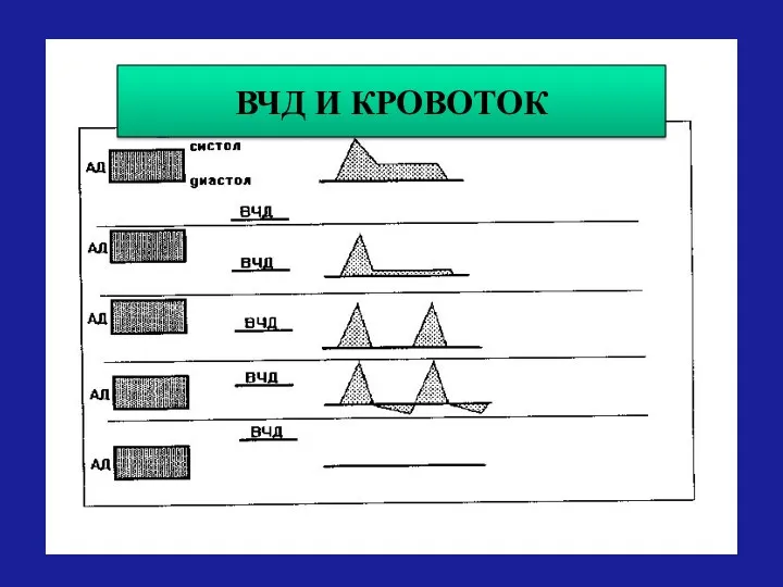 ВЧД И КРОВОТОК