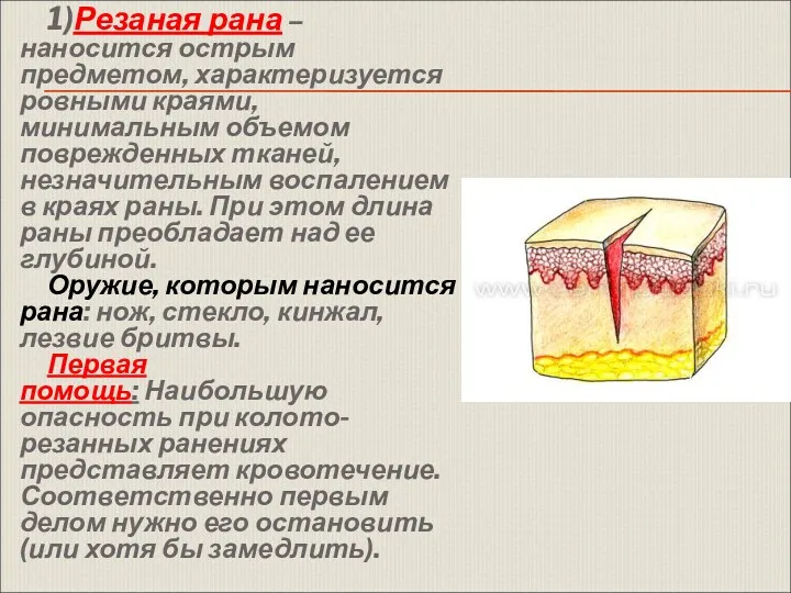 1)Резаная рана – наносится острым предметом, характеризуется ровными краями, минимальным