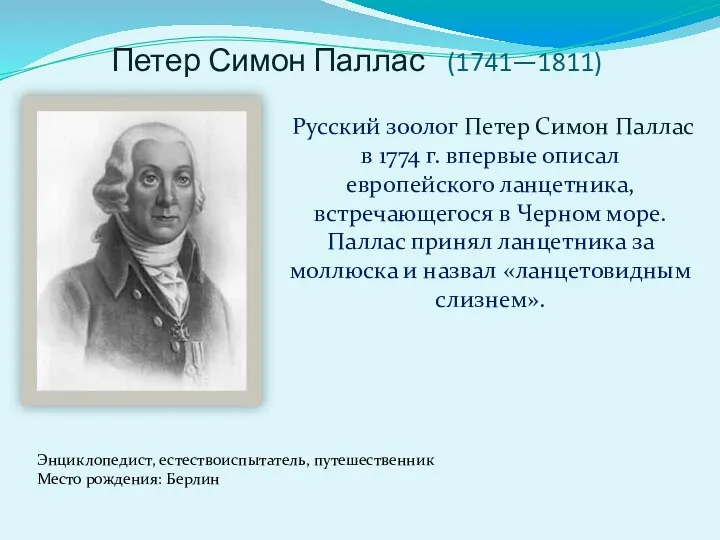 Петер Симон Паллас (1741—1811) Энциклопедист, естествоиспытатель, путешественник Место рождения: Берлин