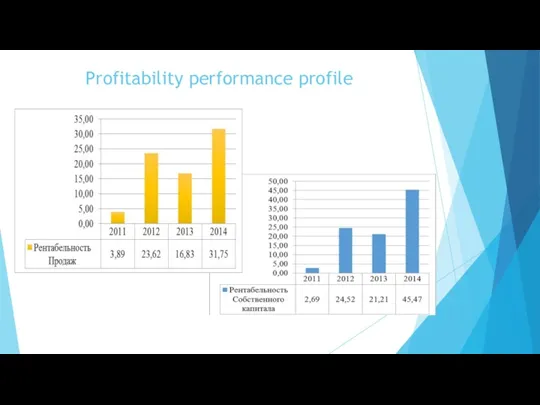 Profitability performance profile