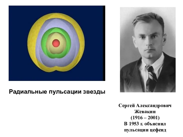 Радиальные пульсации звезды Сергей Александрович Жевакин (1916 – 2001) В 1953 г. объяснил пульсации цефеид