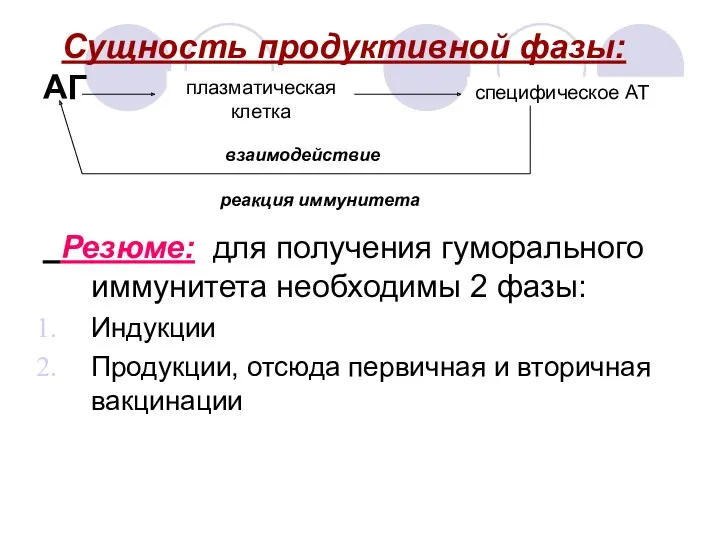 Сущность продуктивной фазы: АГ Резюме: для получения гуморального иммунитета необходимы