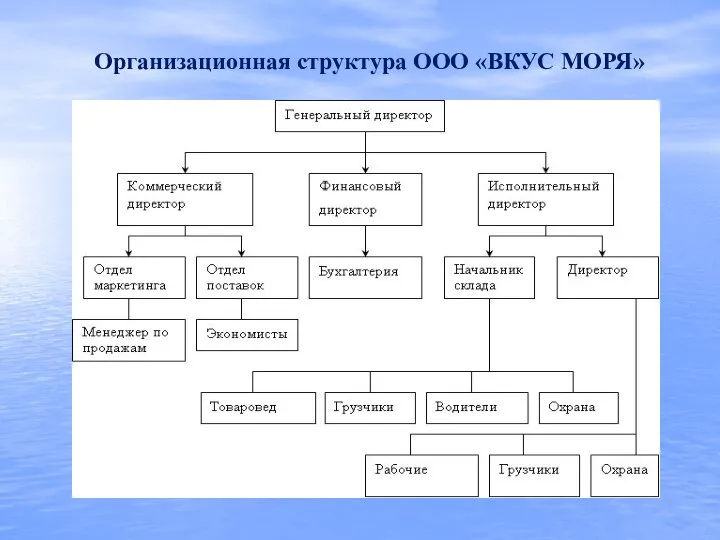 Организационная структура ООО «ВКУС МОРЯ»