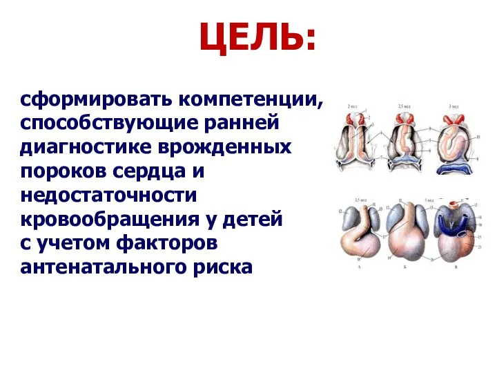 сформировать компетенции, способствующие ранней диагностике врожденных пороков сердца и недостаточности