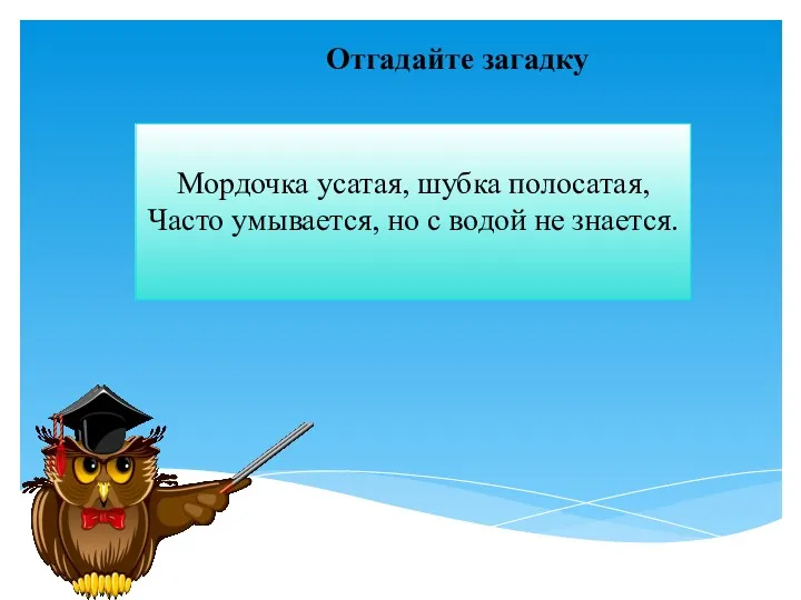 Мордочка усатая, шубка полосатая, Часто умывается, но с водой не знается. Отгадайте загадку