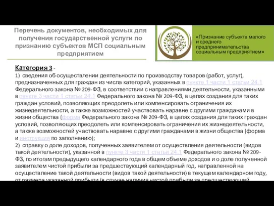 Гарантийный фонд 2 «Признание субъекта малого и среднего предпринимательства социальным