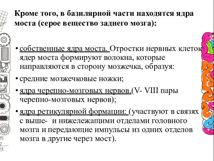 Кроме того, в базилярной части находятся ядра моста (серое вещество