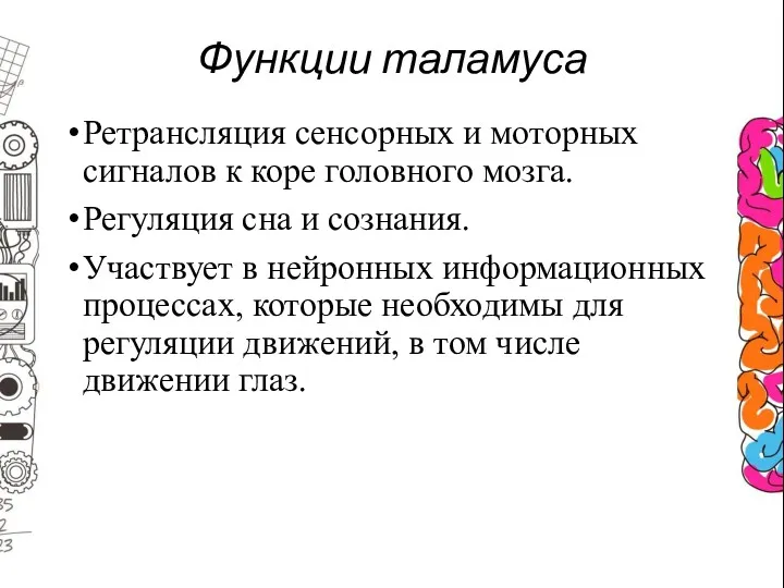 Функции таламуса Ретрансляция сенсорных и моторных сигналов к коре головного