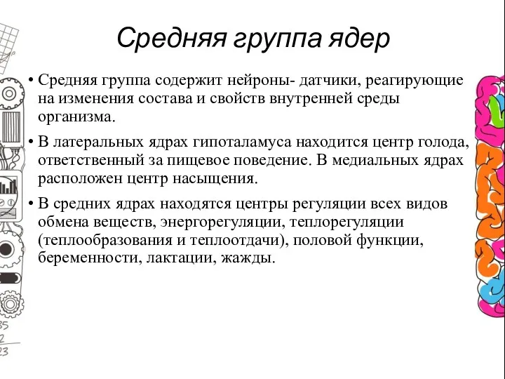 Средняя группа ядер Средняя группа содержит нейроны- датчики, реагирующие на