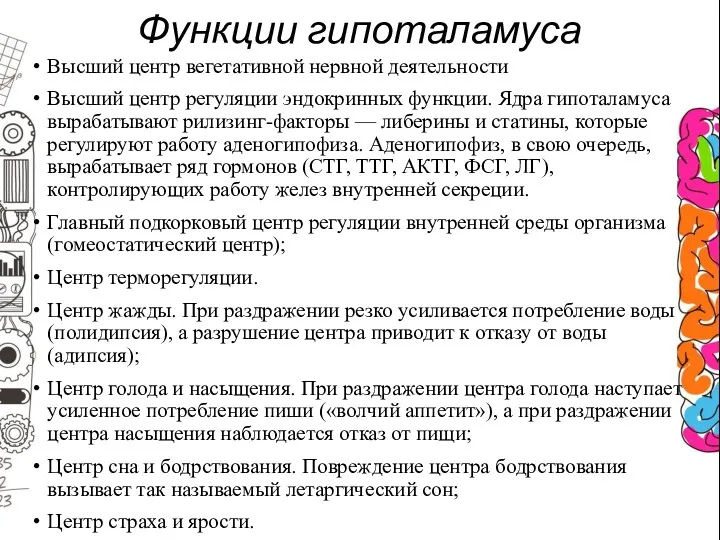 Функции гипоталамуса Высший центр вегетативной нервной деятельности Высший центр регуляции