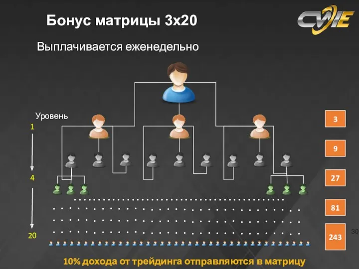 Выплаты в маркетинг до 68 % Выплачивается еженедельно Бонус матрицы 3х20