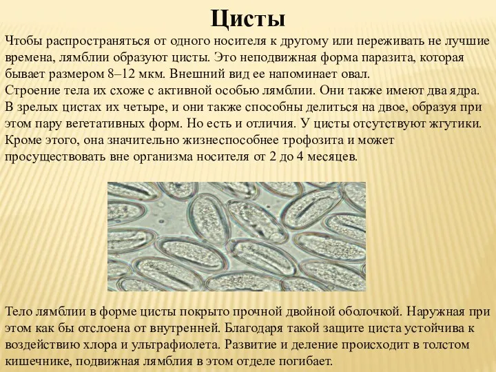 Цисты Чтобы распространяться от одного носителя к другому или переживать