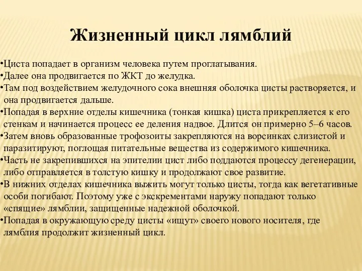 Жизненный цикл лямблий Циста попадает в организм человека путем проглатывания.