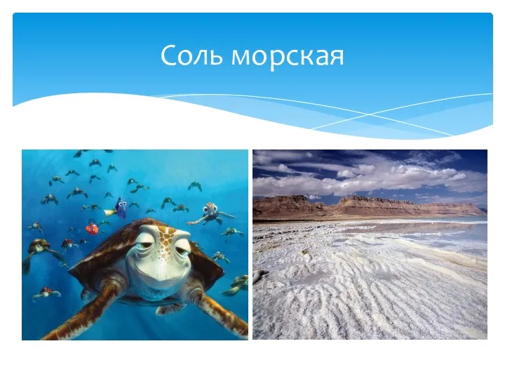 Соль морская