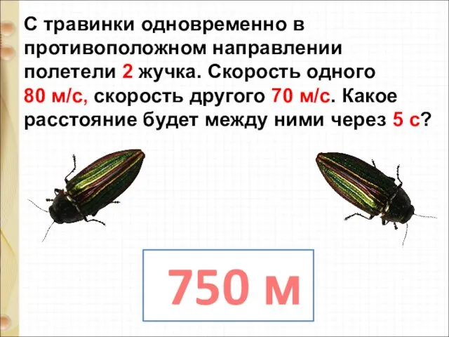 С травинки одновременно в противоположном направлении полетели 2 жучка. Скорость