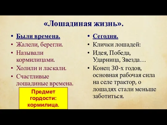 «Лошадиная жизнь». Были времена. Жалели, берегли. Называли кормилицами. Холили и