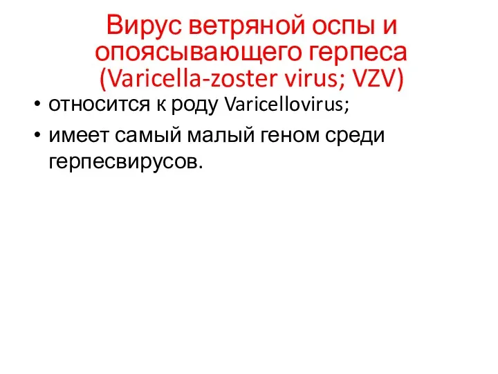 Вирус ветряной оспы и опоясывающего герпеса (Varicella-zoster virus; VZV) относится