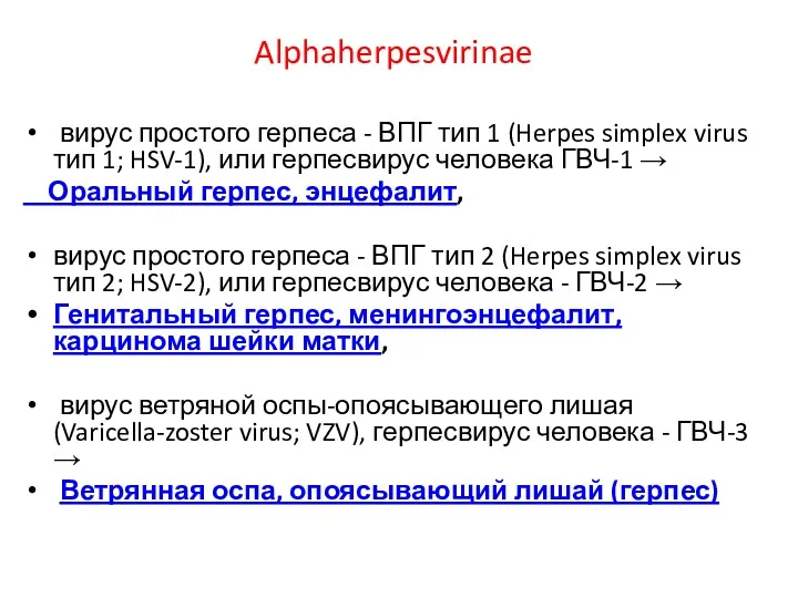 Alphaherpesvirinae вирус простого герпеса - ВПГ тип 1 (Herpes simplex