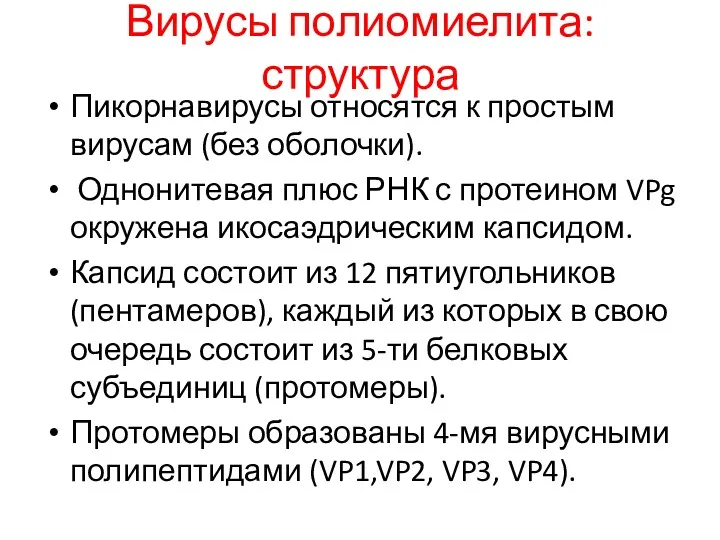 Вирусы полиомиелита: структура Пикорнавирусы относятся к простым вирусам (без оболочки).