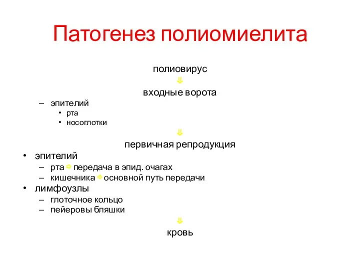 Патогенез полиомиелита полиовирус ⇓ входные ворота эпителий рта носоглотки ⇓