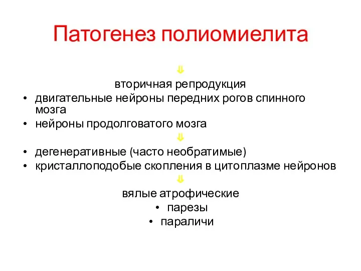 Патогенез полиомиелита ⇓ вторичная репродукция двигательные нейроны передних рогов спинного