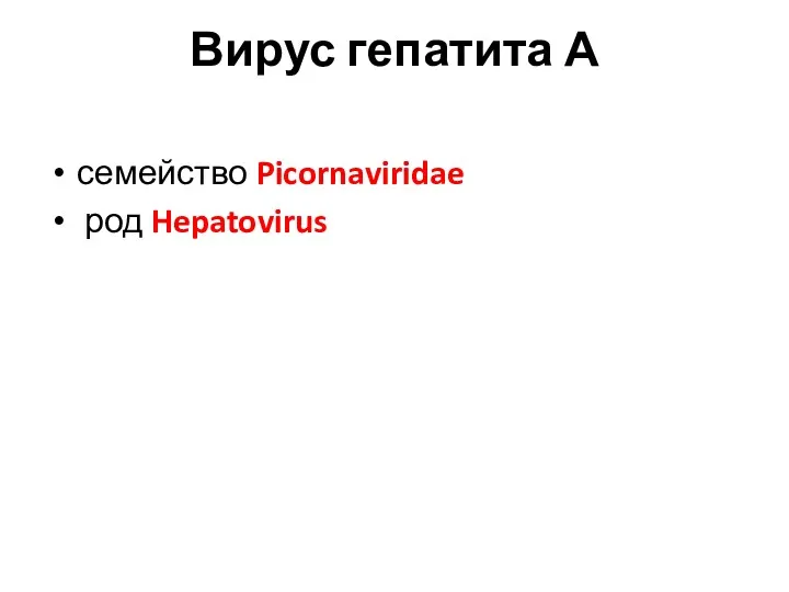Вирус гепатита А семейство Picornaviridae род Hepatovirus