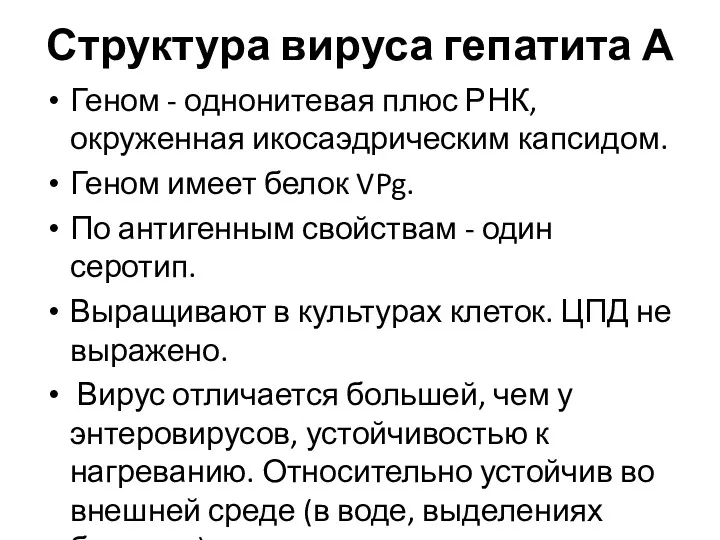 Структура вируса гепатита А Геном - однонитевая плюс РНК, окруженная