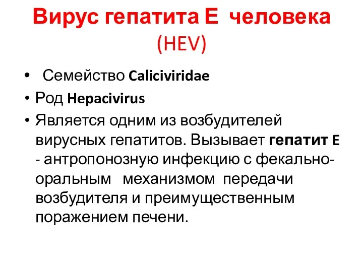 Вирус гепатита Е человека (HEV) Семейство Caliciviridae Род Hepacivirus Является