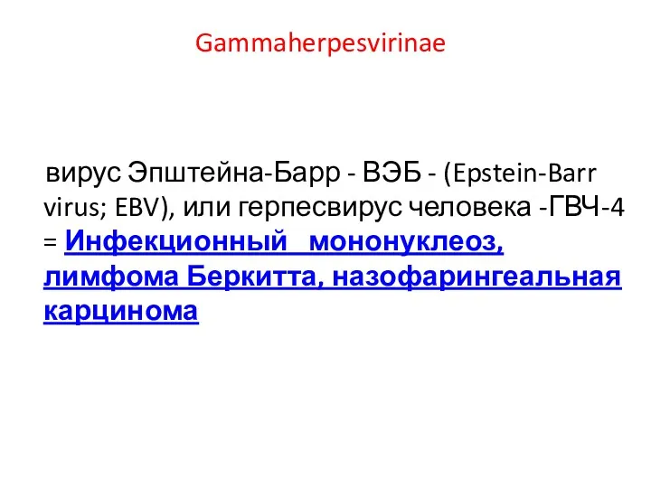 Gammaherpesvirinae вирус Эпштейна-Барр - ВЭБ - (Epstein-Barr virus; EBV), или