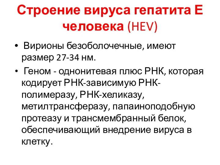 Строение вируса гепатита Е человека (HEV) Вирионы безоболочечные, имеют размер