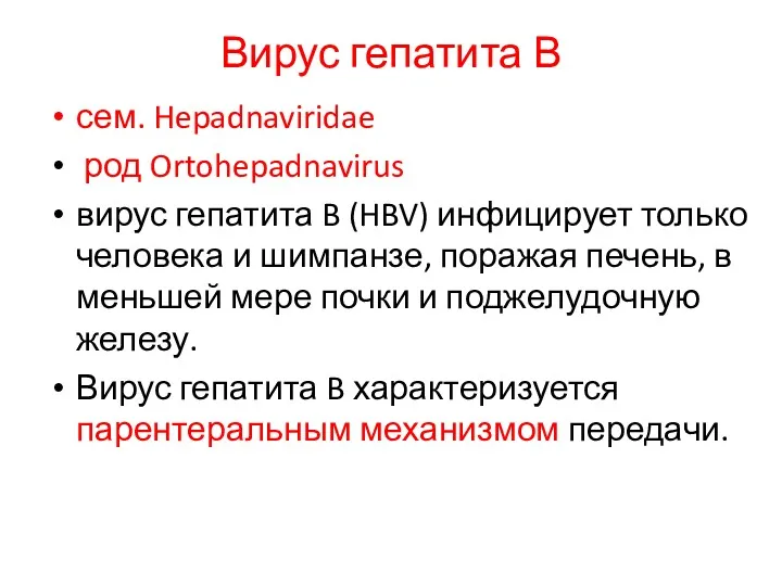 Вирус гепатита В сем. Hepadnaviridae род Ortohepadnavirus вирус гепатита B