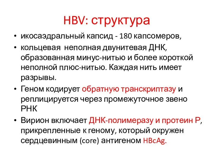 HBV: структура икосаэдральный капсид - 180 капсомеров, кольцевая неполная двунитевая