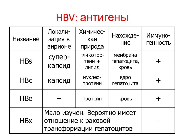 HBV: антигены