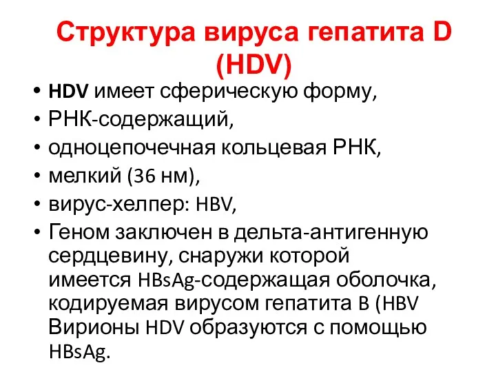 Структура вируса гепатита D (HDV) HDV имеет сферическую форму, РНК-содержащий,