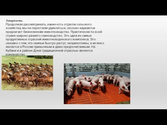 Зонарность. Продолжая рассматривать, какие есть отрасли сельского хозяйства, мы не перестаем удивляться, сколько