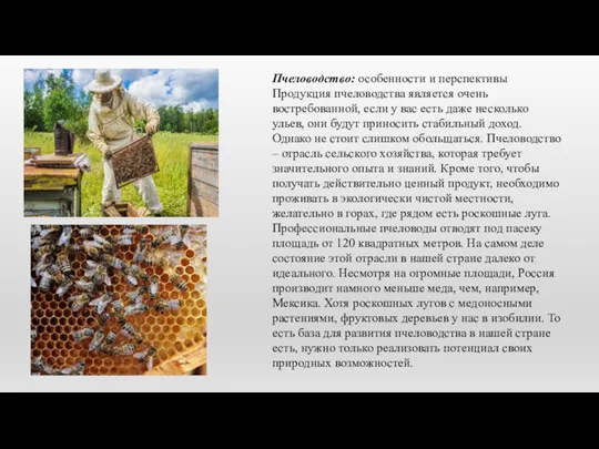 Пчеловодство: особенности и перспективы Продукция пчеловодства является очень востребованной, если у вас есть