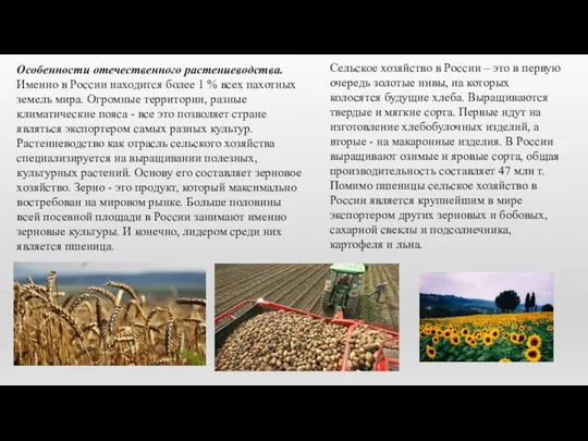 Особенности отечественного растениеводства. Именно в России находится более 1 % всех пахотных земель