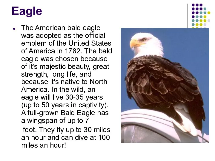 Eagle The American bald eagle was adopted as the official