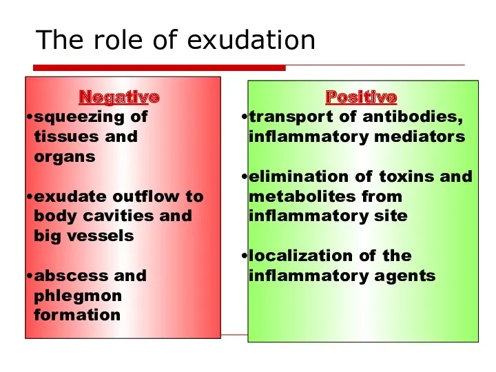 The role of exudation Negative squeezing of tissues and organs