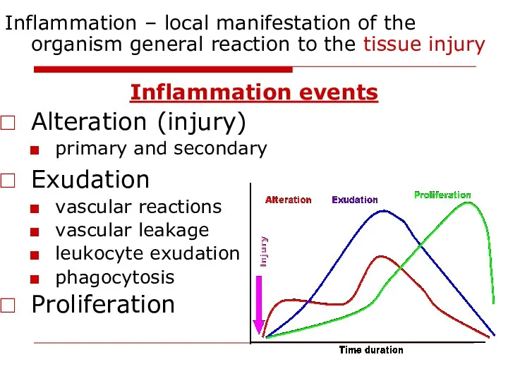 Inflammation – local manifestation of the organism general reaction to