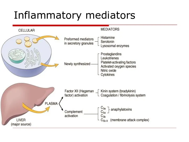 Inflammatory mediators