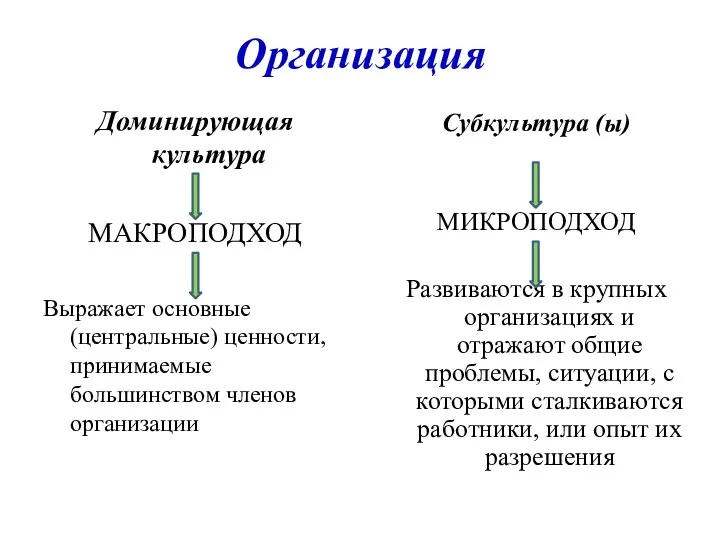 Организация Доминирующая культура МАКРОПОДХОД Выражает основные (центральные) ценности, принимаемые большинством