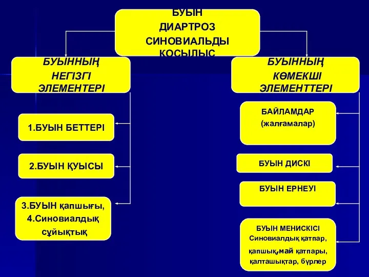 БУЫН ДИАРТРОЗ СИНОВИАЛЬДЫ ҚОСЫЛЫС 3.БУЫН қапшығы, 4.Синовиалдық сұйықтық БУЫННЫҢ НЕГІЗГІ