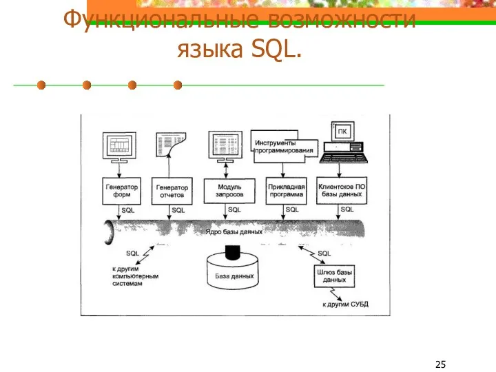 Функциональные возможности языка SQL.