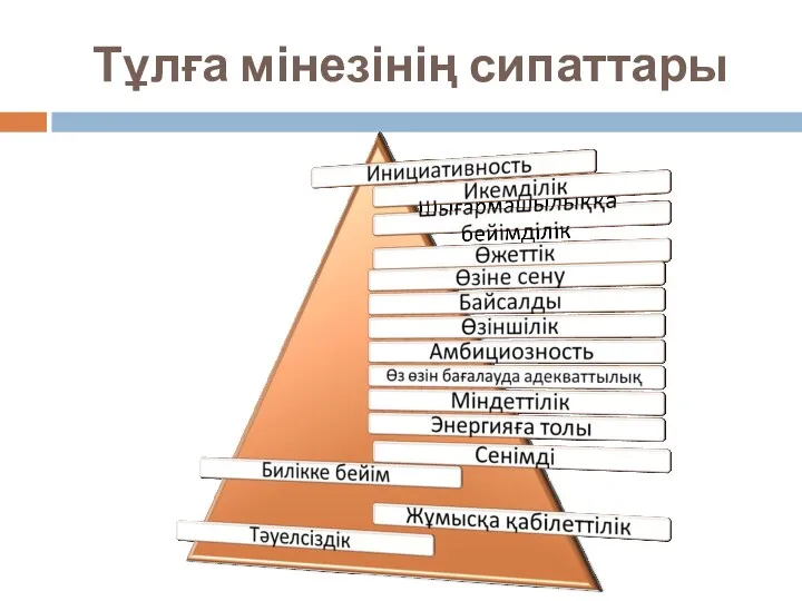 Тұлға мінезінің сипаттары