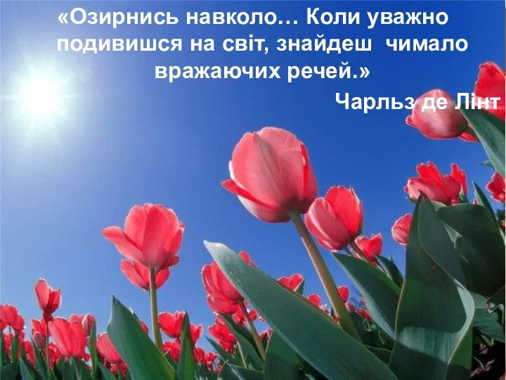 «Озирнись навколо… Коли уважно подивишся на світ, знайдеш чимало вражаючих речей.» Чарльз де Лінт