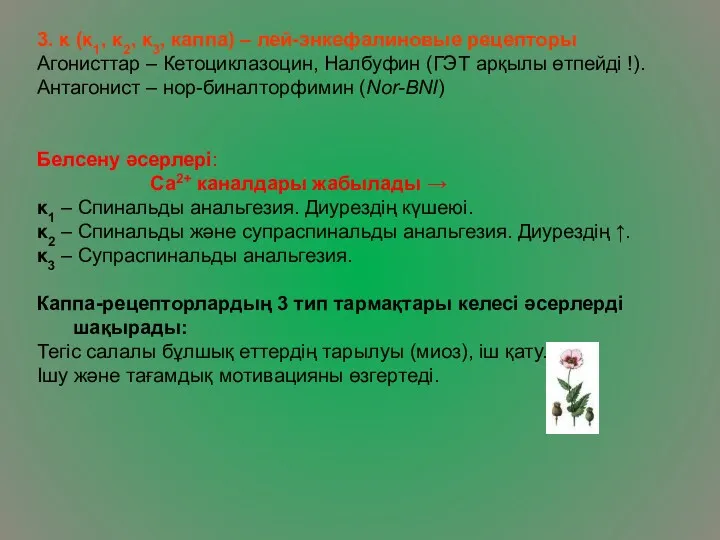 3. κ (κ1, κ2, κ3, каппа) – лей-энкефалиновые рецепторы Агонисттар – Кетоциклазоцин, Налбуфин