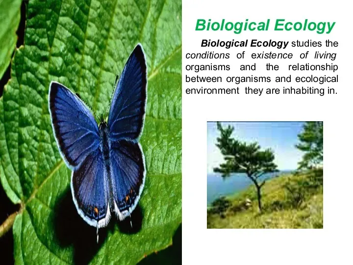 Biological Ecology Biological Ecology studies the conditions of existence of